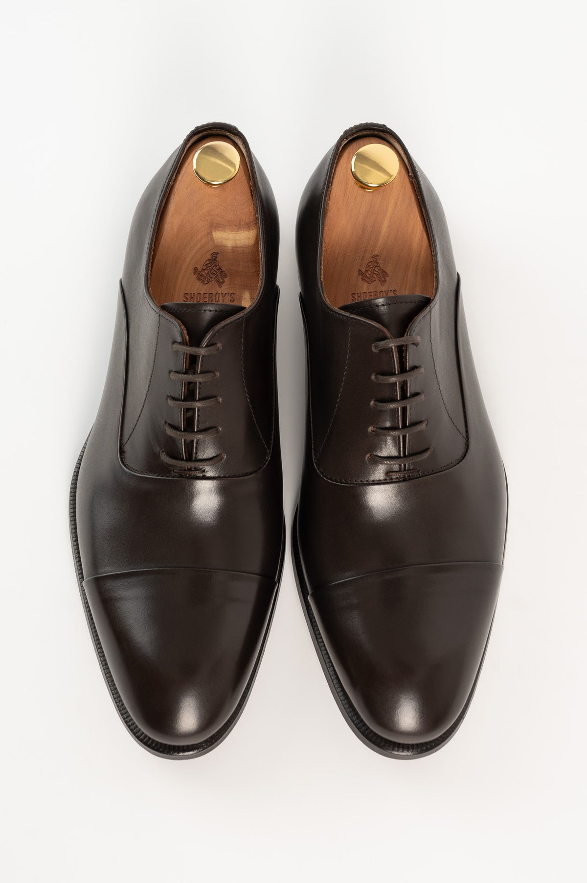 Men's Oxford Luxit | Dark Brown Calf Leather